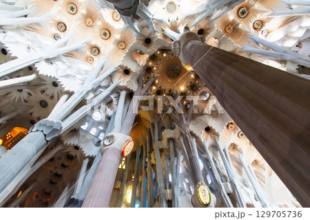 サグラダ・ファミリア 129705736