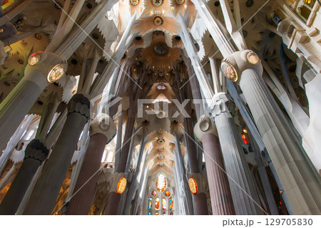 サグラダ・ファミリア サグラダ・ファミリア 129705830