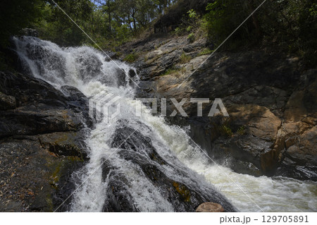 Datanla Waterfall in Dalat among the green rainforests in Southeastern Vietnam Datanla Waterfall in Dalat among the green rainforests in Southeastern Vietnam 129705891