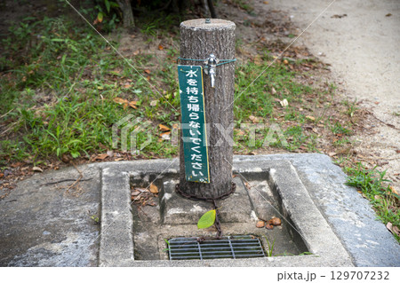 公園の手洗い水栓 129707232