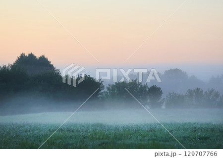 The fog is spreading over the morning field. 129707766