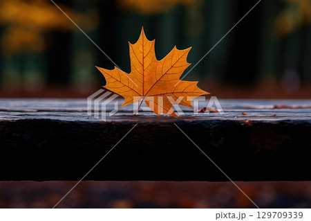 Leaf is on a bench 129709339
