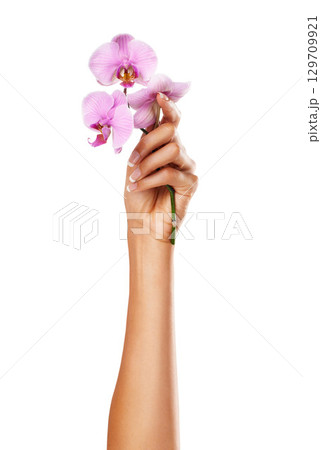 Orchid flower, woman and hand with manicure nails for spa or beauty salon treatment on white background. Female model with pink flowers for floral background, beauty and health with natural cosmetics 129709921