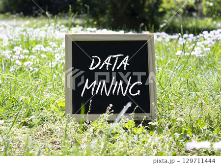 Data Mining symbol. Concept word Data Mining on chalk blackboard. Beautiful meadow background. Business and Data Mining concept. Copy space. 129711444