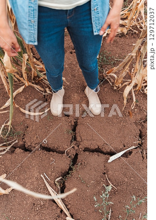 Farmer assessing the damage in a dry and cracked cornfield 129712037