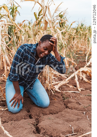 African farmer kneeling in dry cracked soil of maize field during drought African farmer kneeling in dry cracked soil of maize field during drought 129712046