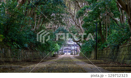 酒列磯前神社の参道 129712323
