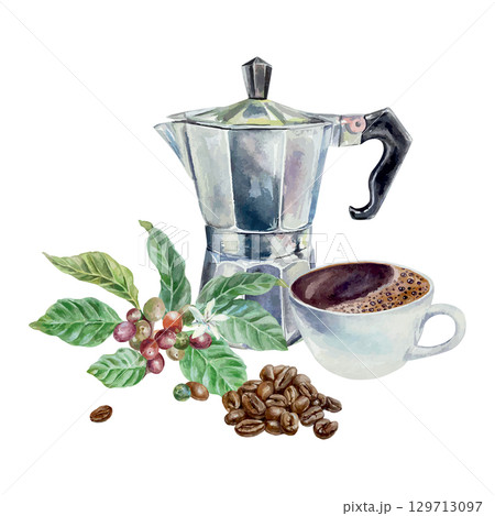 Cup of coffee, geyser coffee maker, roasted beans and plant with green leaves. Hand drawn watercolor isolated. Vector clip art for label, menu and banner design. 129713097