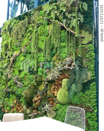 Vertical garden display with diverse green plants and textured foliage as a lush background 129713291