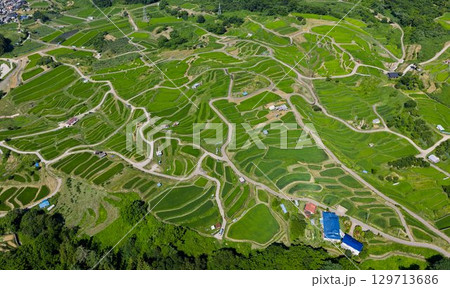 姨捨の棚田 夏の空撮 ― 緑豊かな日本の棚田風景 129713686