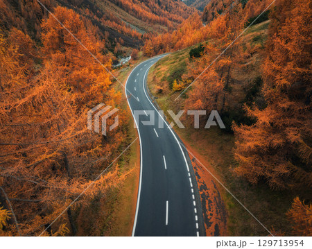 Aerial view of winding mountain road and orange forest in autumn 129713954