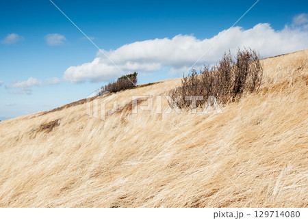 Look at the captivating scene of the alpine valley. 129714080