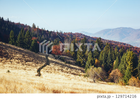 Stunning image of the bright hills in sunny beams. 129714216