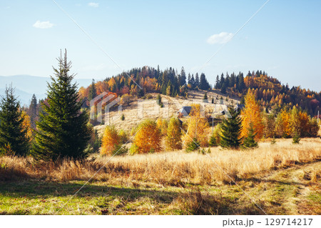 Stunning image of the bright hills in sunny beams. 129714217