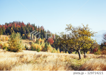 Stunning image of the bright hills in sunny beams. 129714221