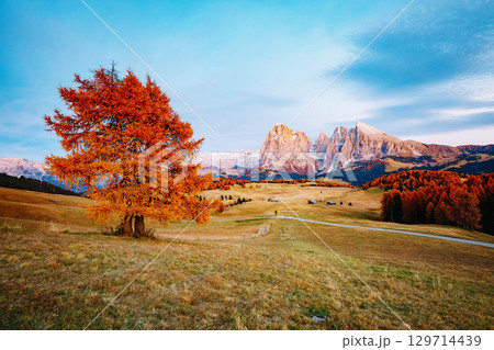 Scenic image of bright hills. Location Seiser Alm or Alpe di Siusi, South Tyrol, Italy. 129714439