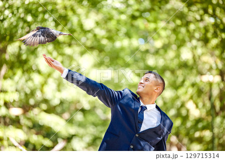 Business man, bird and nature park for freedom, success and start of new opportunity as leader while outdoor with a smile and happiness. Entrepreneur with animal on green tree background for hope Business man, bird and nature park for freedom, success and start of new opportunity as leader while outdoor with a smile and happiness. Entrepreneur with animal on green tree background for hope 129715314