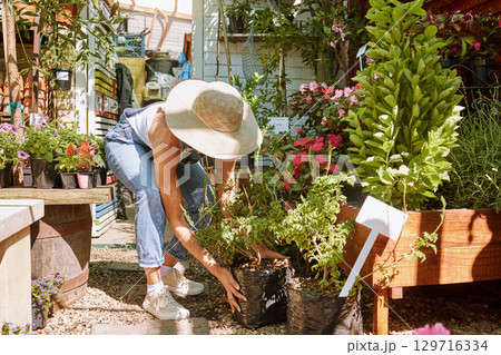 Plant, flowers and woman with small business gardening for eco friendly, sustainability and floral industry working on green growth. Garden worker, seller or supplier of flower or plants spring sale 129716334