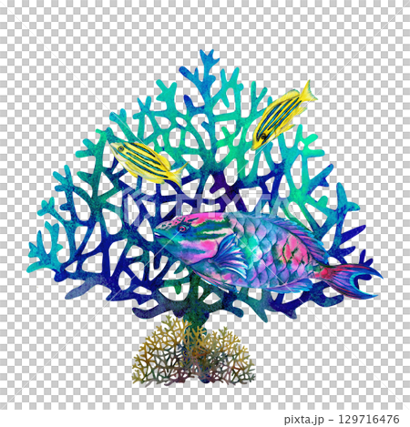 Rainbow big tropical parrot fish among multicolored mesh fire corals. Underwater sea view watercolor template for marine design, cards, posters, stickers, scrapbooking, textile, diving, snorkeling Rainbow big tropical parrot fish among multicolored mesh fire corals. Underwater sea view watercolor template for marine design, cards, posters, stickers, scrapbooking, textile, diving, snorkeling 129716476