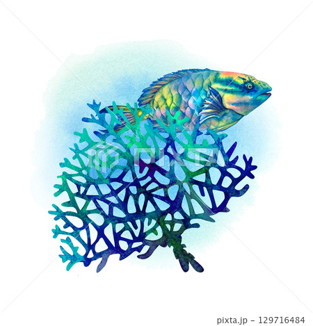 Rainbow big tropical parrot fish among multicolored mesh fire corals. Underwater sea view watercolor template for marine design, cards, posters, stickers, scrapbooking, textile, diving, snorkeling 129716484