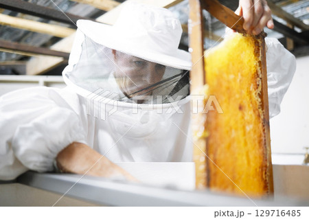 Honeycomb, honey production and woman, farmer with suit for safety, manufacturing process with beekeeper and workshop. Bee farming, natural product from bees and organic, eco friendly and extraction. 129716485