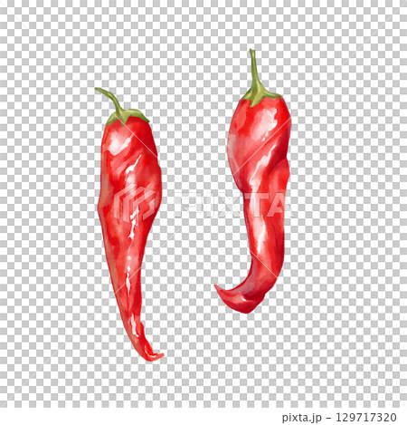 Hand-drawn illustration featuring two red chili peppers. Perfect for spicy food themes and vibrant culinary designs. Hand-drawn illustration featuring two red chili peppers. Perfect for spicy food themes and vibrant culinary designs. 129717320