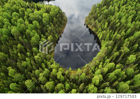Top view of spring birch green forest and round lake 129717583