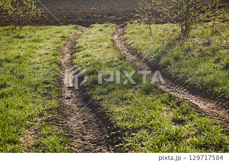 Road rut among a spring meadow and trees,...の写真素材 [129717584] - PIXTA