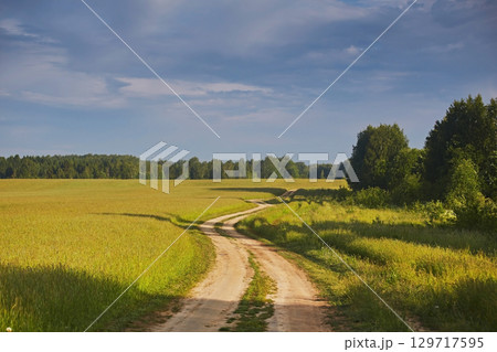 Beautiful summer landscape with dirt road and green meadows and blue sky 129717595