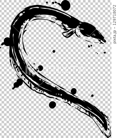 鰻魚墨畫插圖 鰻魚墨畫插圖 129718072