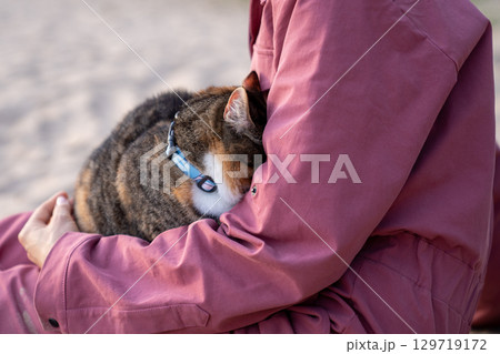 Anxious cat hiding in woman arms outdoors. Stressed cat frightened in hands on scary street walk Anxious cat hiding in woman arms outdoors. Stressed cat frightened in hands on scary street walk 129719172