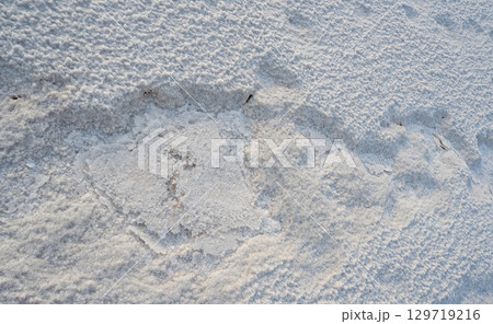 Salty soil near the lake shore. The texture of a salty crust near a salt marsh Salty soil near the lake shore. The texture of a salty crust near a salt marsh 129719216