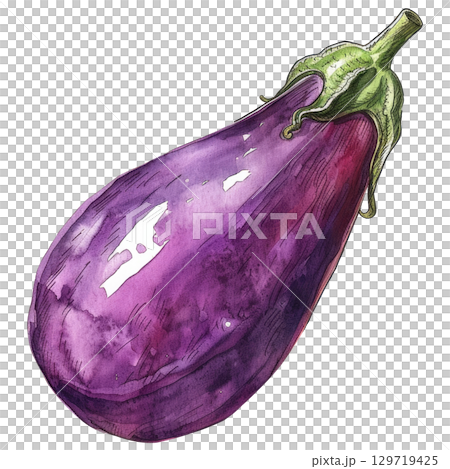 Hand-painted watercolor eggplant with velvety texture, isolated on white background. Perfect for Mediterranean cuisine branding or farm market designs 129719425