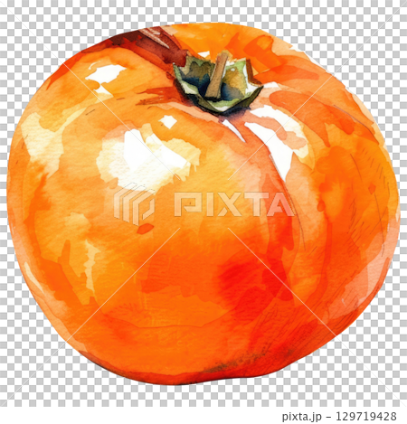 Hand-painted watercolor persimmon with vibrant orange hues, isolated on white background. Seasonal harvest artwork for jam labels or farm branding 129719428