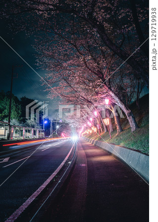 小見川城山公園の夜桜ライトアップと車の光跡 小見川城山公園の夜桜ライトアップと車の光跡 129719938