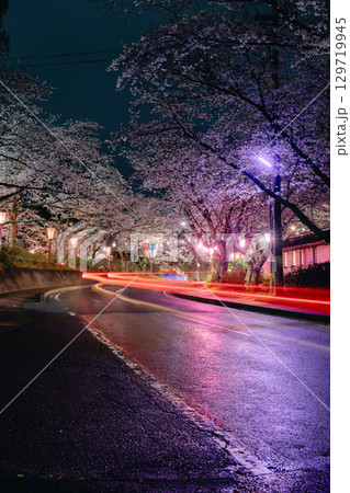 小見川城山公園の夜桜ライトアップと車の光跡 129719945
