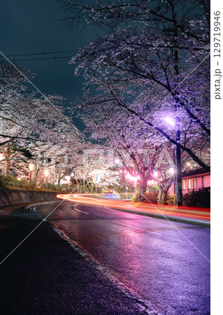 小見川城山公園の夜桜ライトアップと車の光跡 129719946