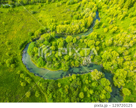 Winding through a vibrant green valley, a serene river meanders beneath the clear sky. Dense trees and rich vegetation line the banks, creating a peaceful natural landscape in the Alps. 129720125