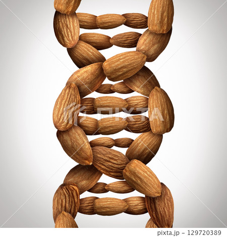 Almonds And Health Almonds And Health 129720389