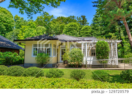 東京　小金井市　江戸東京たてもの園（田園調布の家　大川邸） 129720579