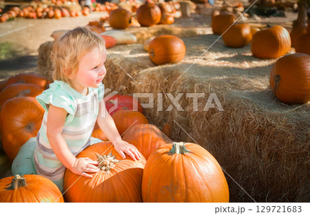 Cute Baby Girl Having Fun at the Pumpkin Patch on a Sunny Fall Day. Cute Baby Girl Having Fun at the Pumpkin Patch on a Sunny Fall Day. 129721683