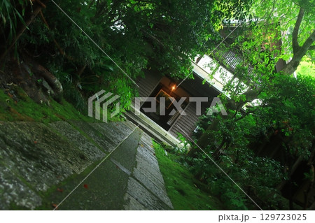 【神奈川県】鎌倉瑞泉寺の境内 【神奈川県】鎌倉瑞泉寺の境内 129723025