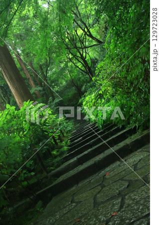 【神奈川県鎌倉市】新緑が美しい瑞泉寺の石段 【神奈川県鎌倉市】新緑が美しい瑞泉寺の石段 129723028