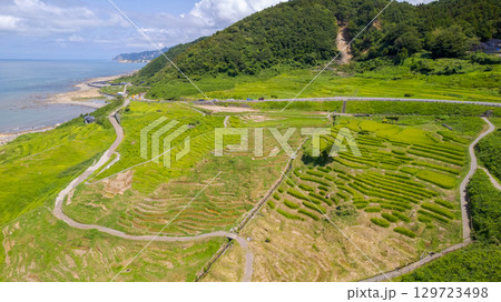白米千枚田と隆起した海岸線　令和6年能登半島地震と豪雨被害から修復が進む白米千枚田　空撮 129723498