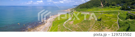 白米千枚田と隆起した海岸線　令和6年能登半島地震と豪雨被害から修復が進む白米千枚田　空撮 129723502