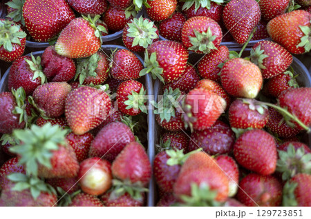 Fresh ripe strawberries in a plastic container, at a street market or in a supermarket 129723851