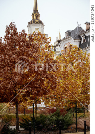bright autumn in a residential area. 129724045