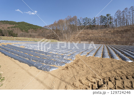 春の作付け前の畑 129724246