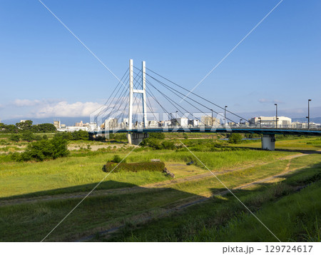 猪名川に架かる斜張橋と街の風景 129724617