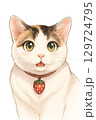 微笑みかける猫 129724795
